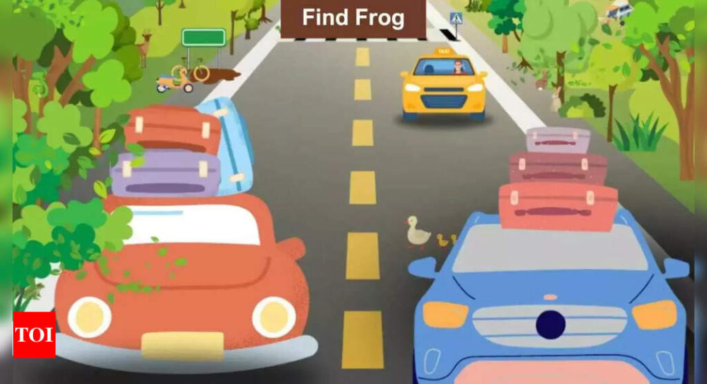 Optical illusion: Only the sharpest eyes can spot the frog on the highway in under 30 seconds! |