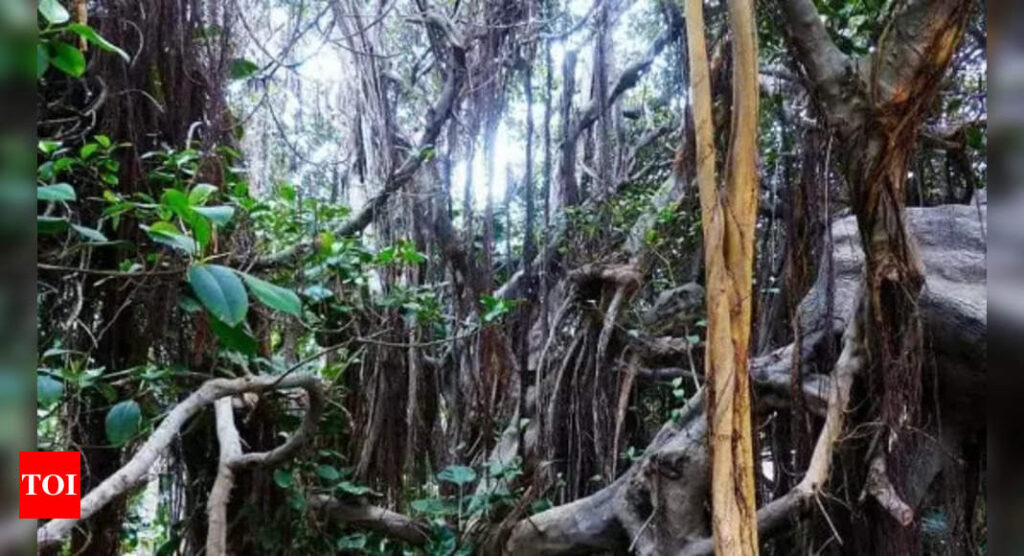 Optical Illusion: Find the dinosaur in the jungle in 7 Seconds