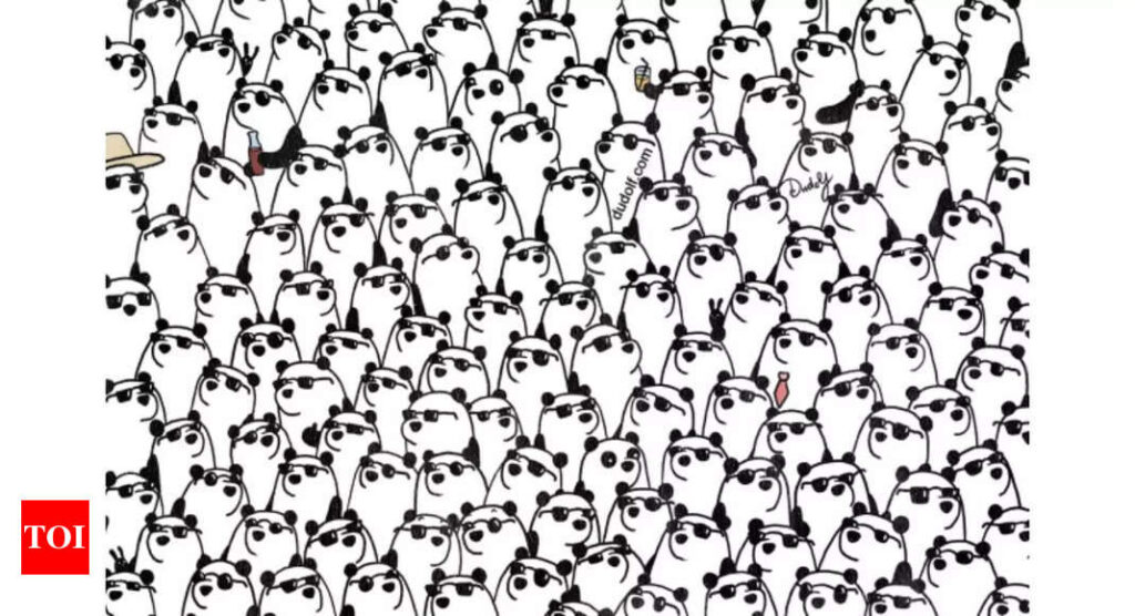 Optical Illusion: Only those with sharp observation skills can find the 3 pandas without sunglasses - Times of India |