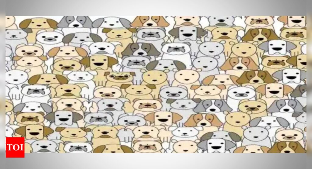 Brain-Teasing Puzzle: Do you animals? Prove it by finding the hidden pug in 7 seconds |