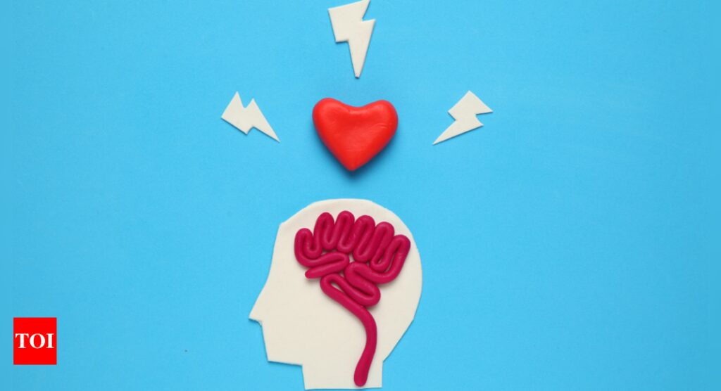 Love Impact Brain Functioning: How does love impact the functioning of the brain? |