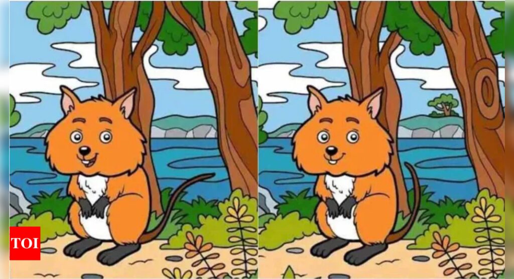 Only person who is naturally smart can spot 6 differences in under 12 seconds