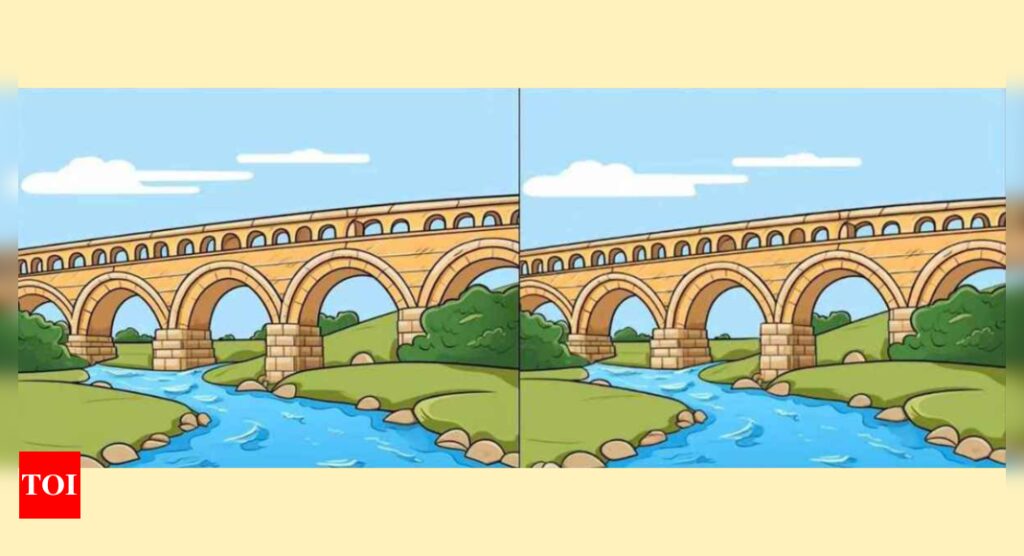 Optical Illusion: Can you find 3 differences in the bridge pictures? |