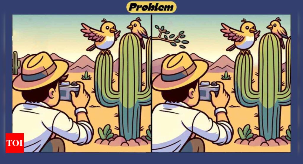 Optical Illusion: Can you spot 4 differences in this bird watching photo? |