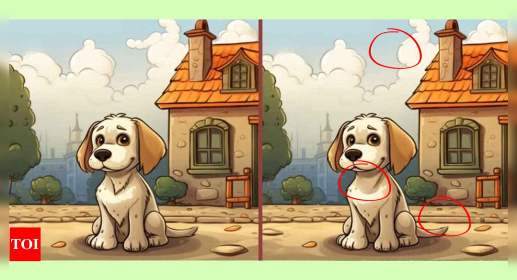 Optical Illusion: Find 3 difference in this puppy picture |