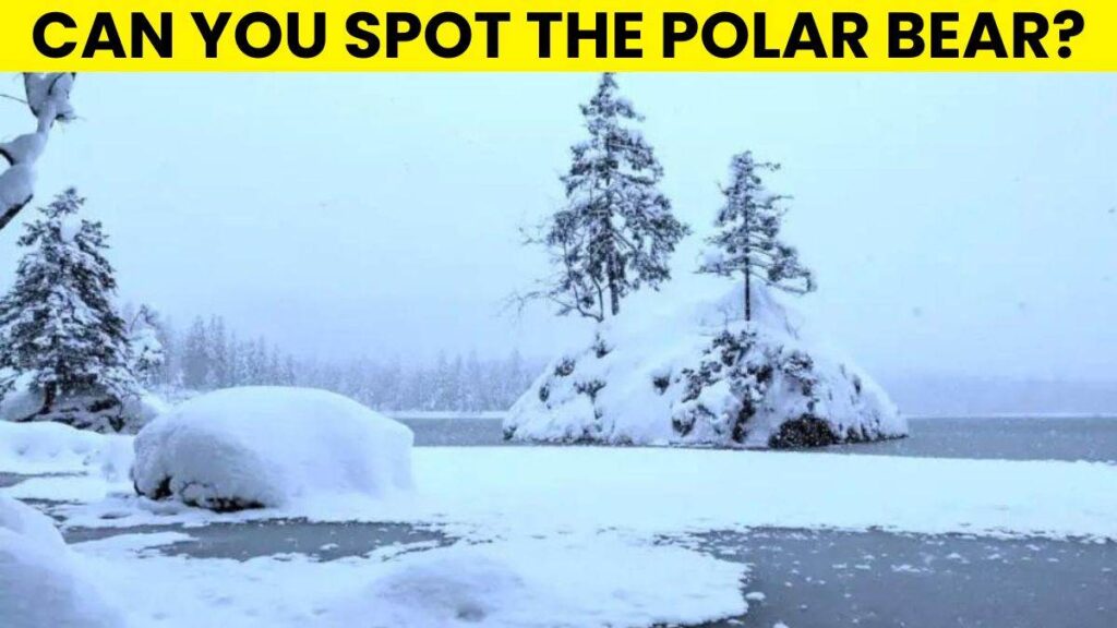 Optical Illusion IQ Test: Only Top 5% Visually Sharp Can Spot The Polar Bear In 5 Seconds!