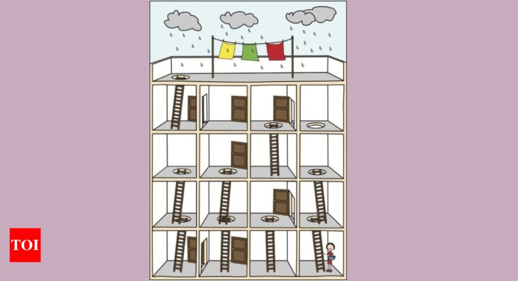 Optical Illusion: Only a real intelligent person can find the way to the terrace |