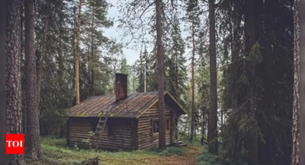 Optical Illusion: Only a sharp-eyed person can spot the bear around this jungle cabin