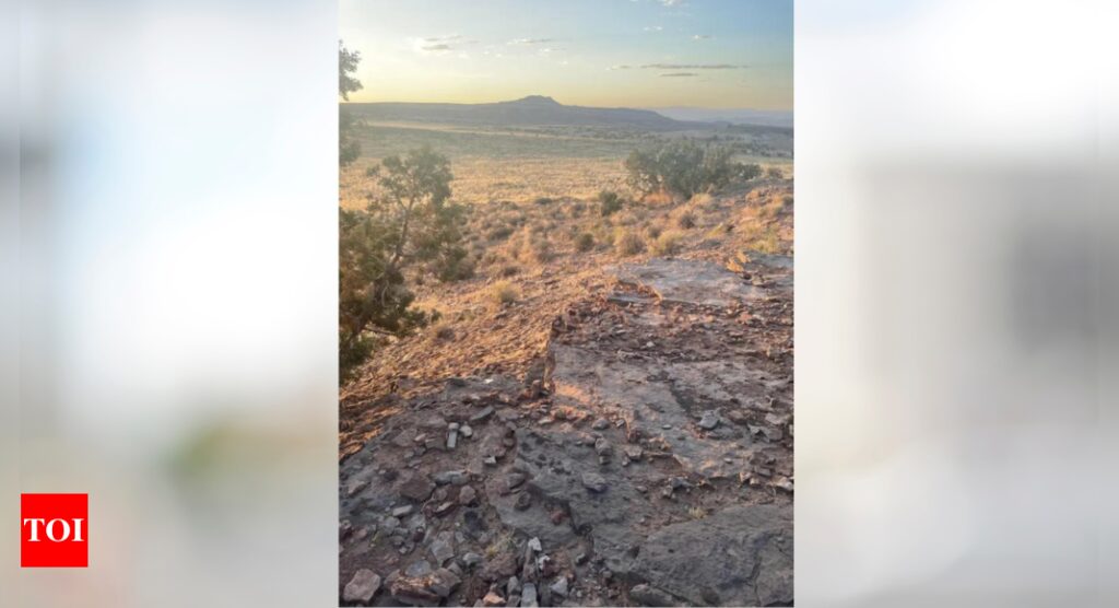 Optical Illusion: Only a true observer can spot the Fox in this beautiful landscape |