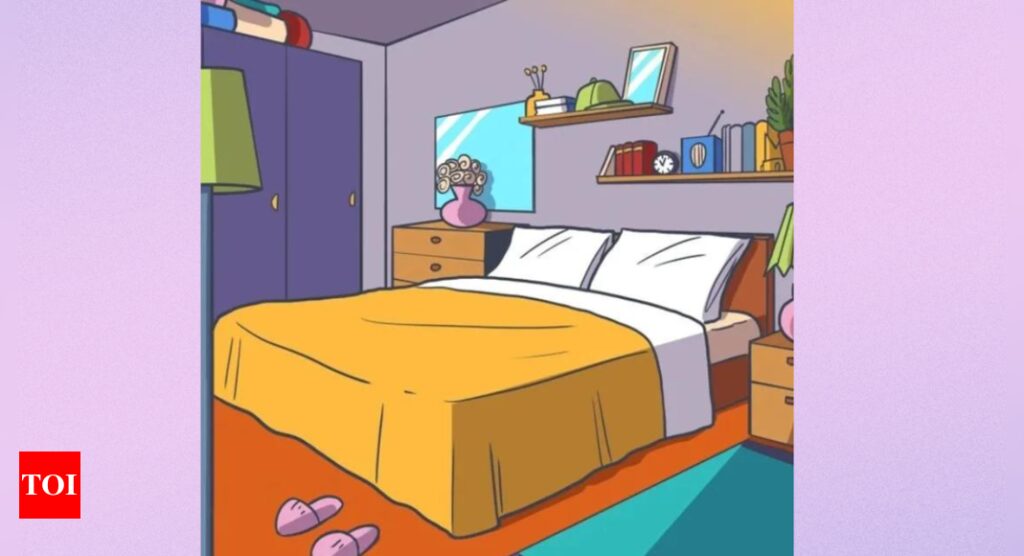 Optical illusion: Only creative people can spot the crown in this bedroom |