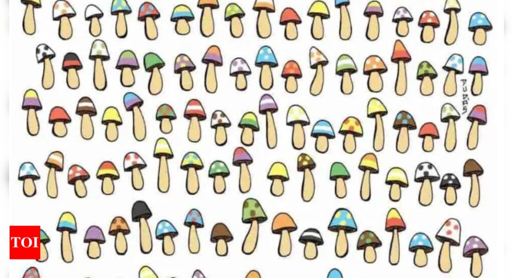 Opticle illusion: Test your concentration: Can you spot the odd mushroom in 15 seconds? |