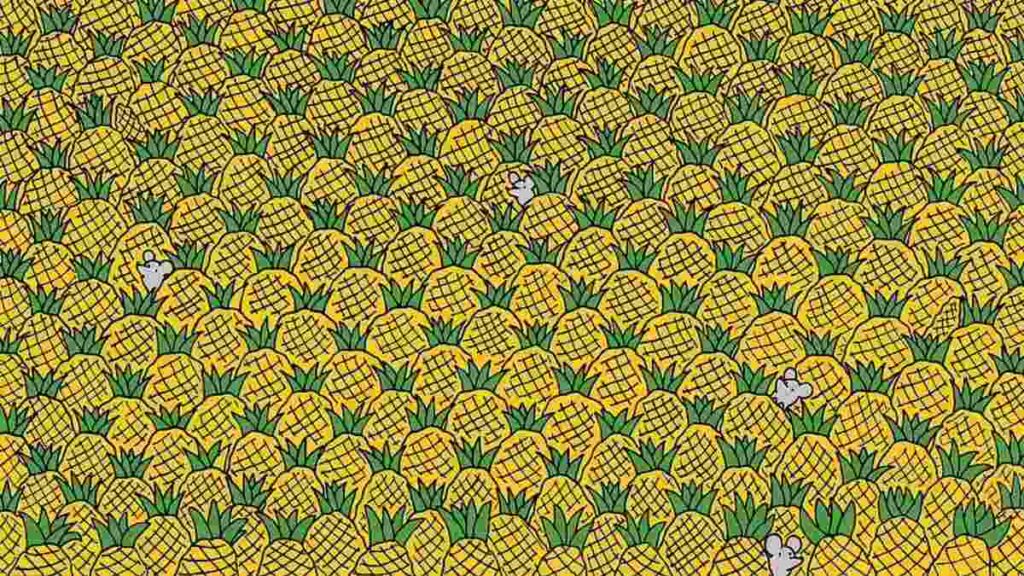 Picture Puzzle IQ Test: Prove Your Genius! Can You Spot Four Corns Among Pineapples In 5 Seconds?