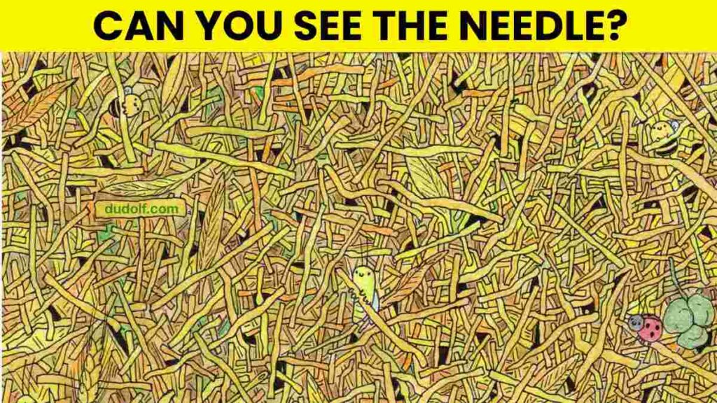 Picture Puzzle IQ Test: Use Your Sharpest Vision To Spot The Needle In 5 Seconds!