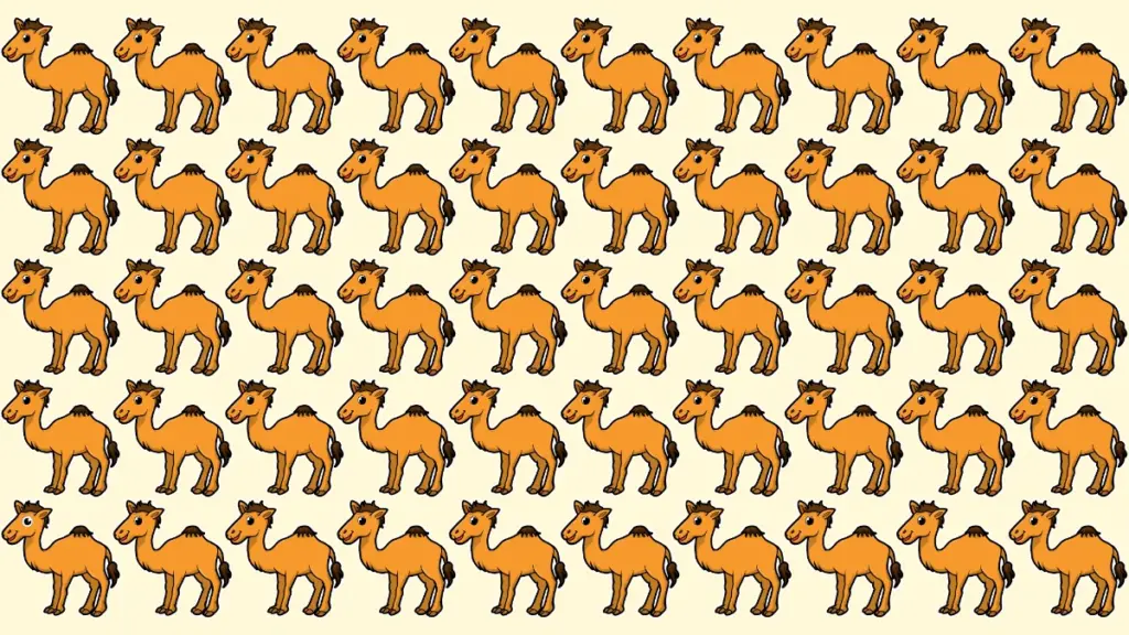 Seek and Find Puzzle: Can you Find the Odd Camel in 6 Secs