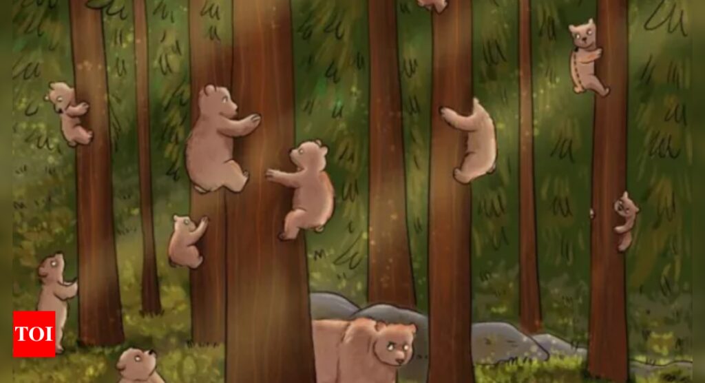 Optical Illusion: Can you find the hidden human among these bears?