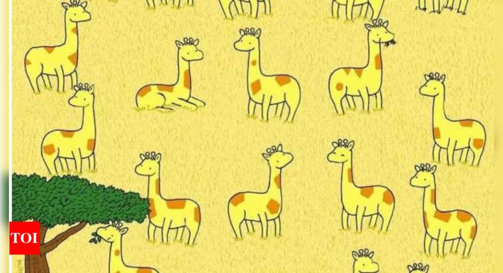 Optical Illusion: Find the odd giraffe in this picture |