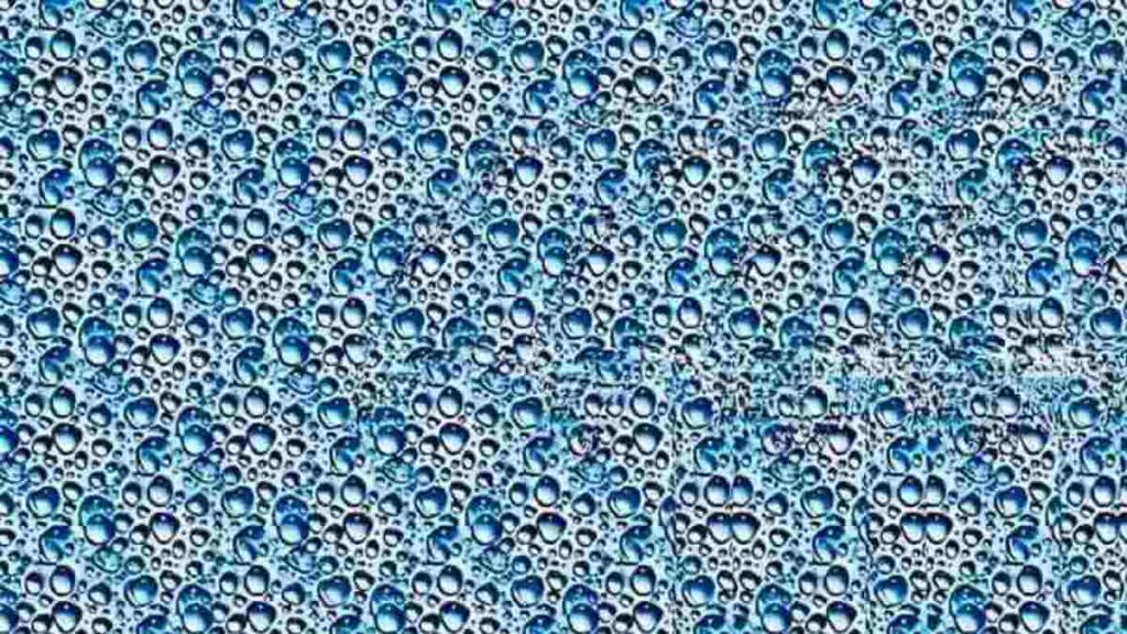 Optical Illusion IQ Test: Only 1 In 5 Can Spot The Hidden Object In 5 Seconds! Can You?