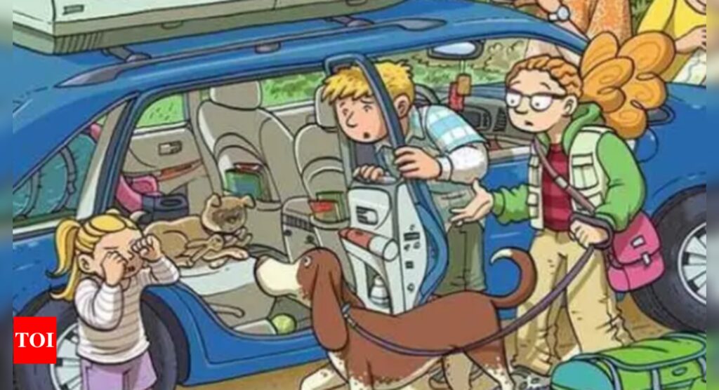 Optical illusion test: Find the child’s hidden toy bunny in this messy car