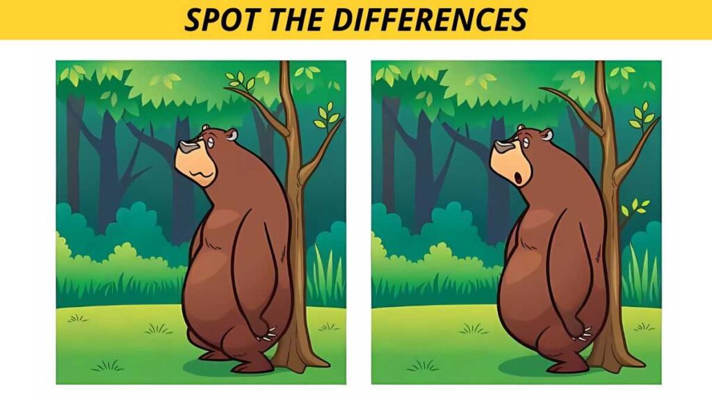 Spot the Differences Between the Bear in the Jungle Pictures in 18 Seconds!