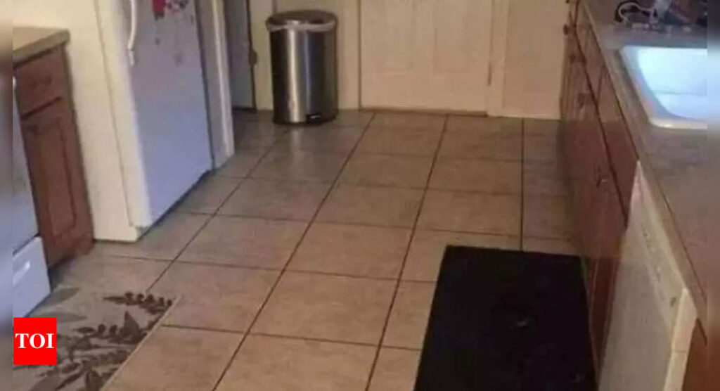 You have excellent vision if you can spot the dog in this picture within 20 seconds |