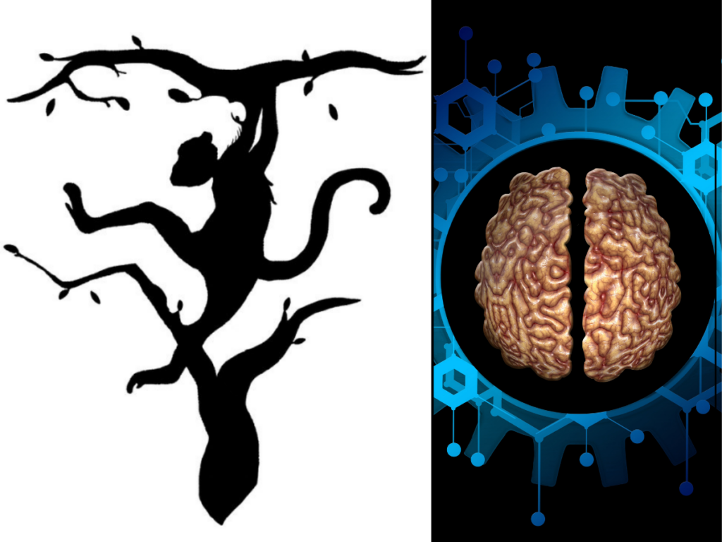 Animal you see first reveals if you are a left or right brained person