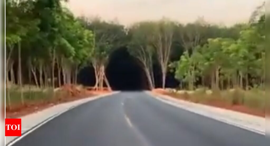 Brain exercise: A dark tunnel or a green forest, what did you see here?