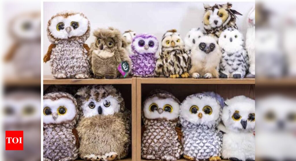 Only a genius can tell which one's a real owl among toy owls