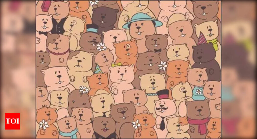 Optical Illusion: There's a potato hidden among these bears; can you find it within 7 seconds?