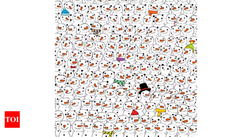 Optical illusion: Challenge: Can you spot the panda among these snowmen? You only have 10 seconds! - Times of India |