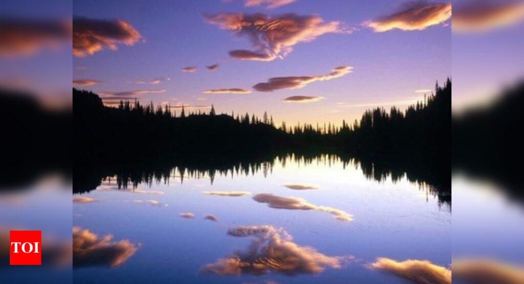 Optical illusion: Which half is the reflection of the lake?