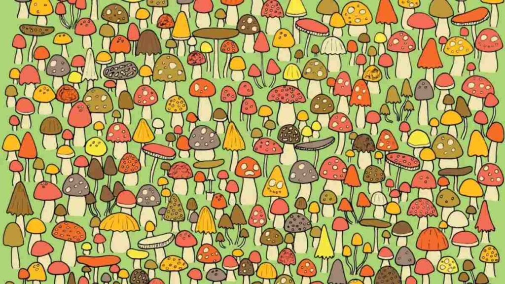 Picture Puzzle: You Have 20/20 Vision If You Can Spot The Mouse Hidden Among Mushrooms In 5 Seconds!