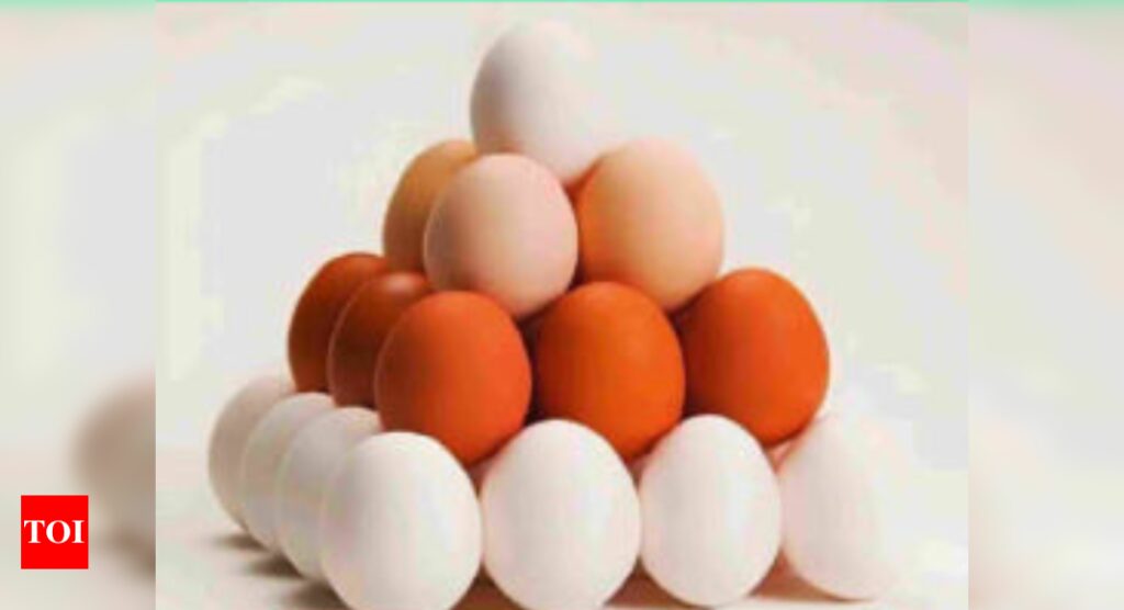 Puzzle: How many eggs are there in this picture?