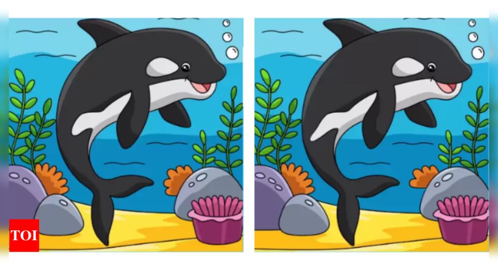 Spot the difference challenge: Find 3 differences in these identical looking dolphin images; you only have 10 seconds